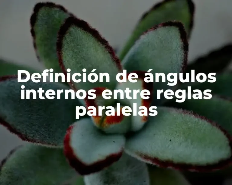 Definición de ángulos internos entre reglas paralelas