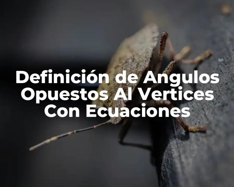 Definición de Angulos Opuestos Al Vertices Con Ecuaciones