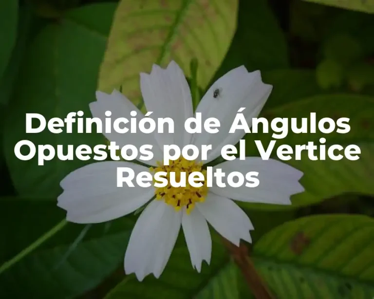 Definición de Ángulos Opuestos por el Vertice Resueltos