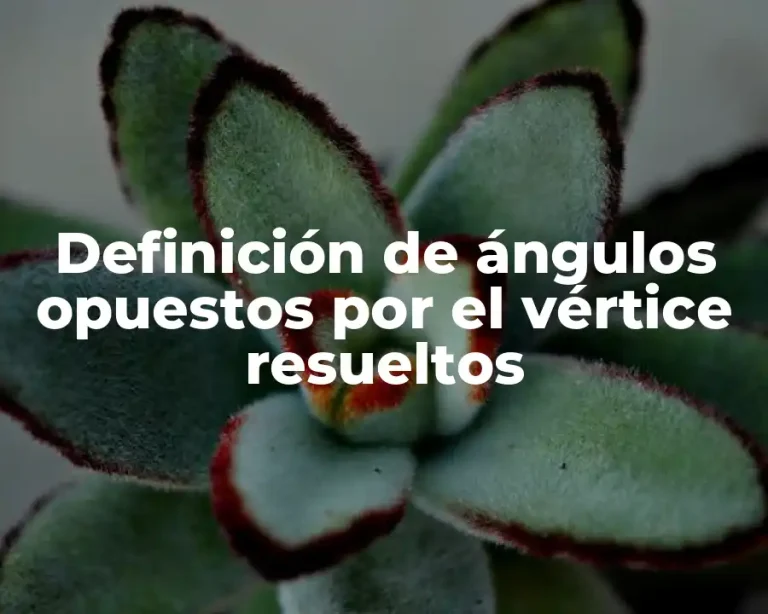 Definición de ángulos opuestos por el vértice resueltos