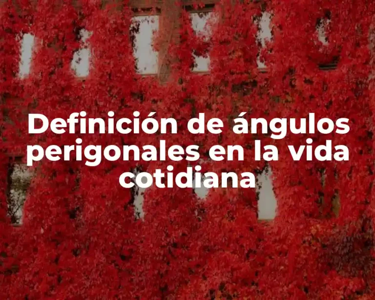 Definición de ángulos perigonales en la vida cotidiana