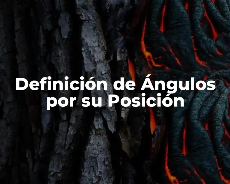 Definición de Ángulos por su Posición