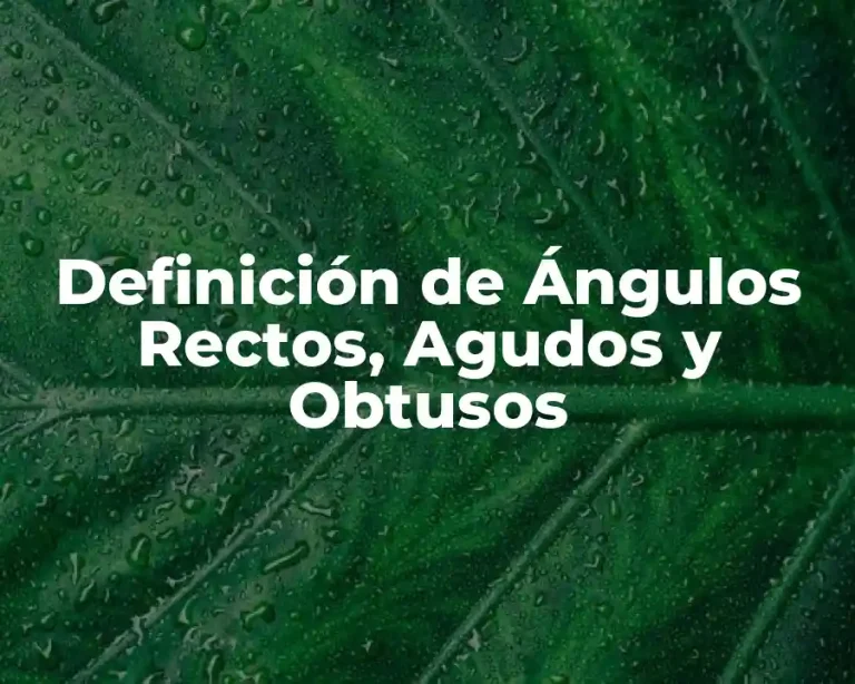 Definición de Ángulos Rectos, Agudos y Obtusos