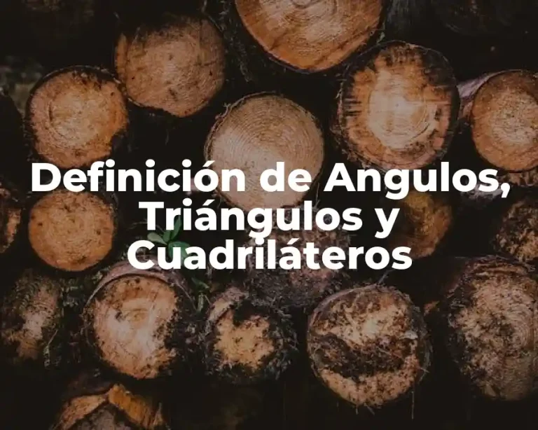 Definición de Angulos, Triángulos y Cuadriláteros