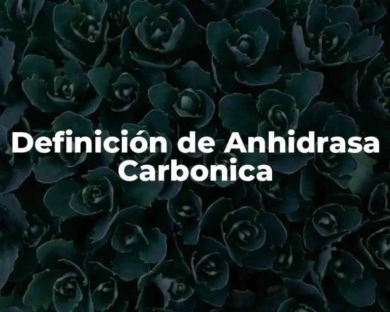 Definición de Anhidrasa Carbonica
