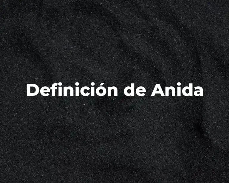 Definición de Anida
