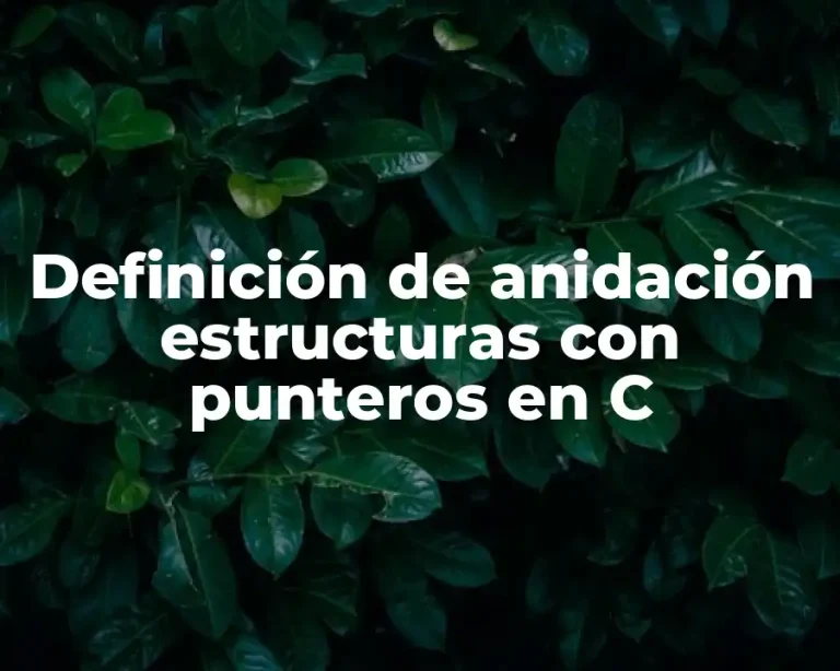 Definición de anidación estructuras con punteros en C