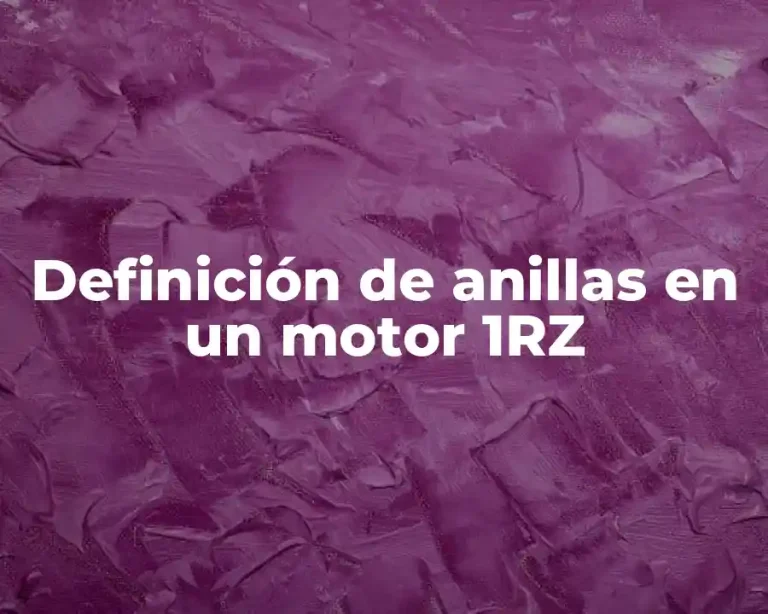 Definición de anillas en un motor 1RZ