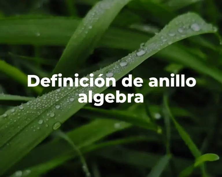 Definición de anillo algebra
