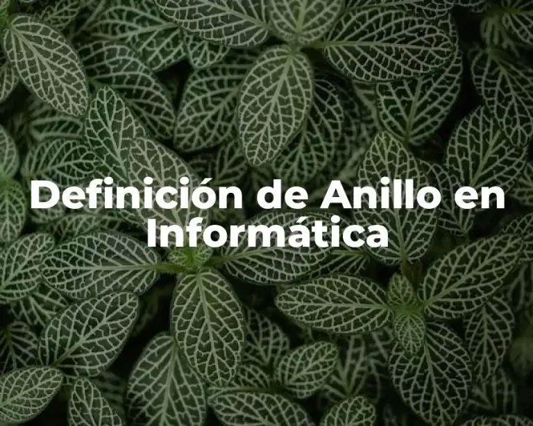 Definición de Anillo en Informática