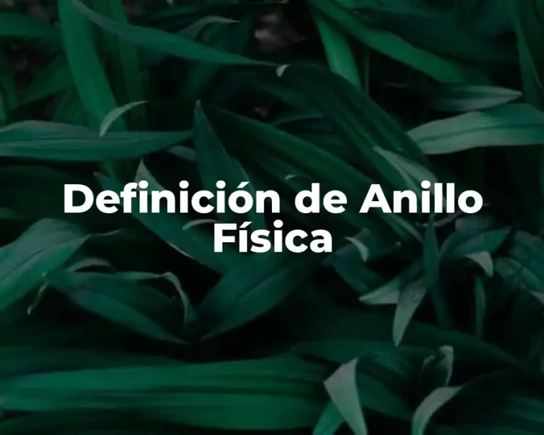 Definición de Anillo Física