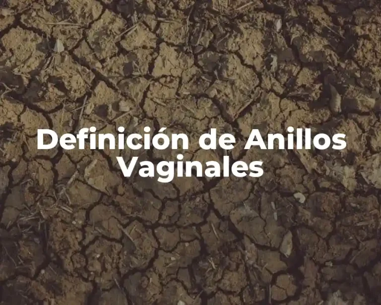 Definición de Anillos Vaginales