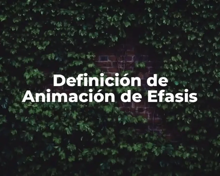 Definición de Animación de Efasis