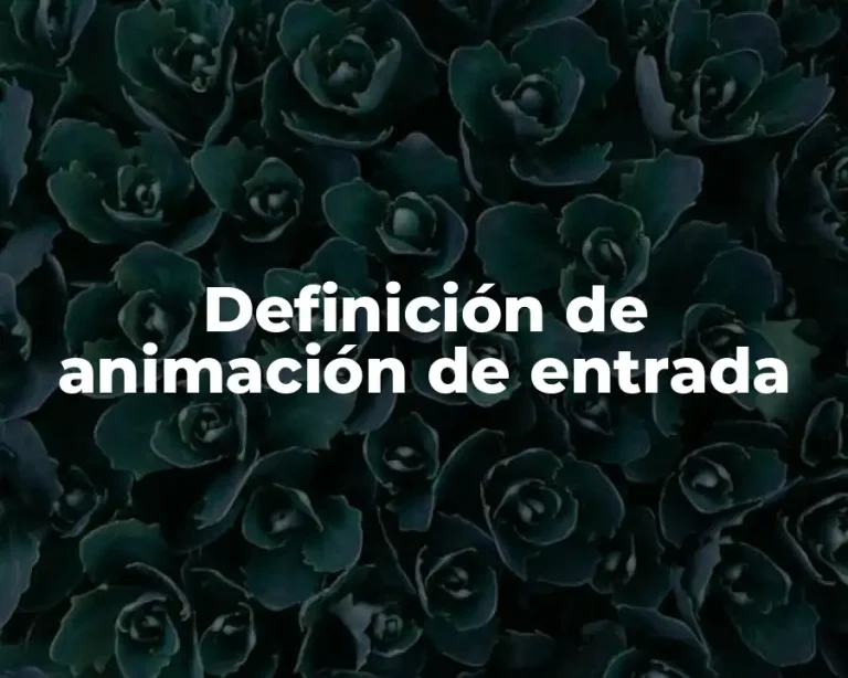 Definición de animación de entrada