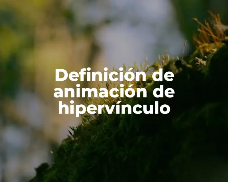 Definición de animación de hipervínculo