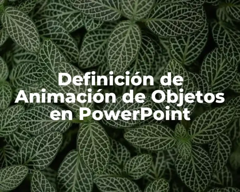 Definición de Animación de Objetos en PowerPoint