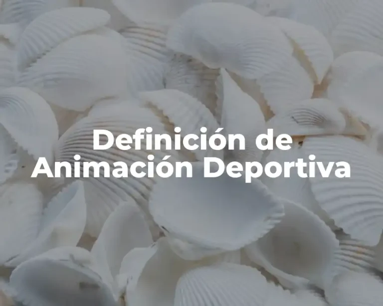 Definición de Animación Deportiva