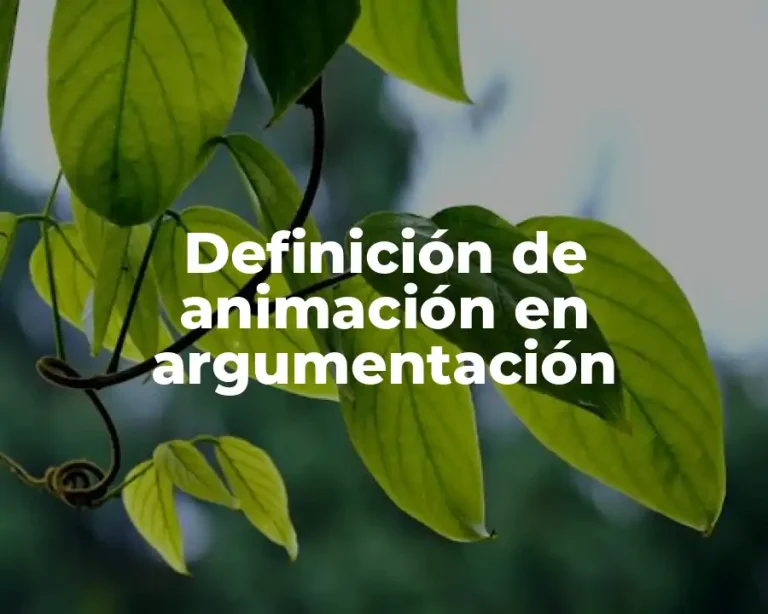 Definición de animación en argumentación