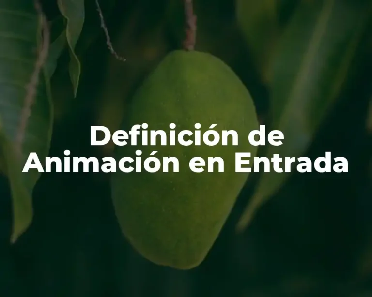 Definición de Animación en Entrada