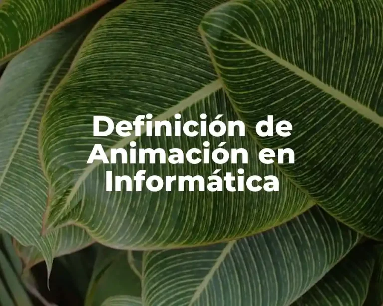 Definición de Animación en Informática