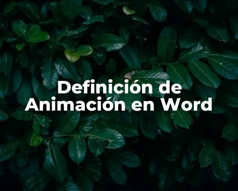 Definición de Animación en Word