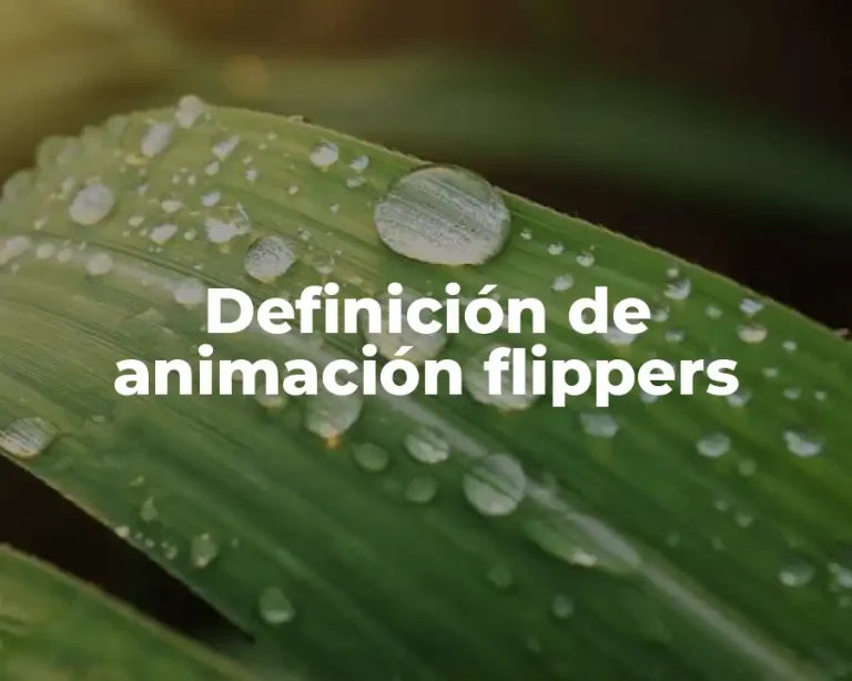 Definición de animación flippers