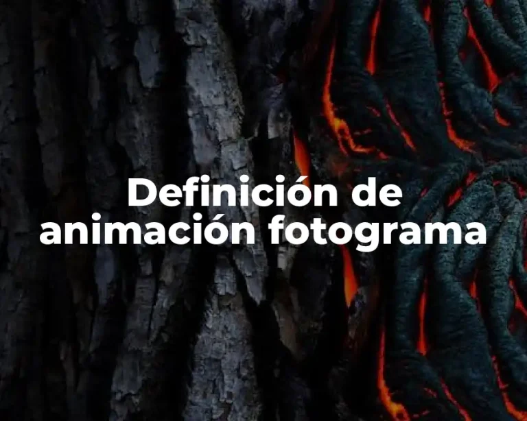 Definición de animación fotograma