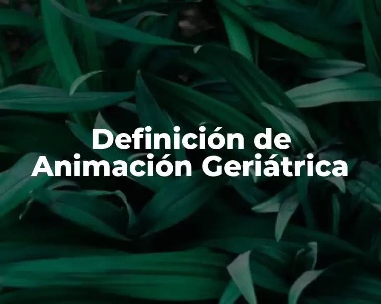 Definición de Animación Geriátrica