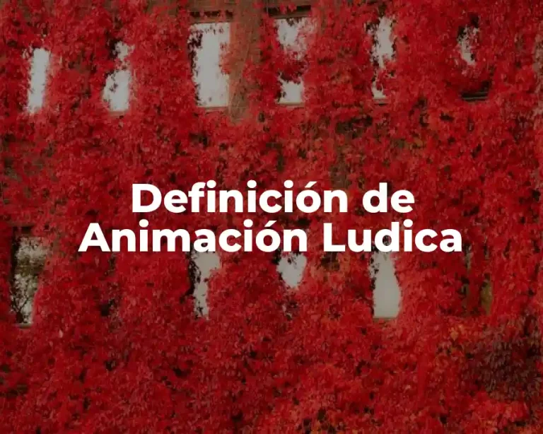 Definición de Animación Ludica