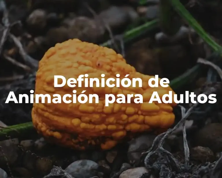 Definición de Animación para Adultos