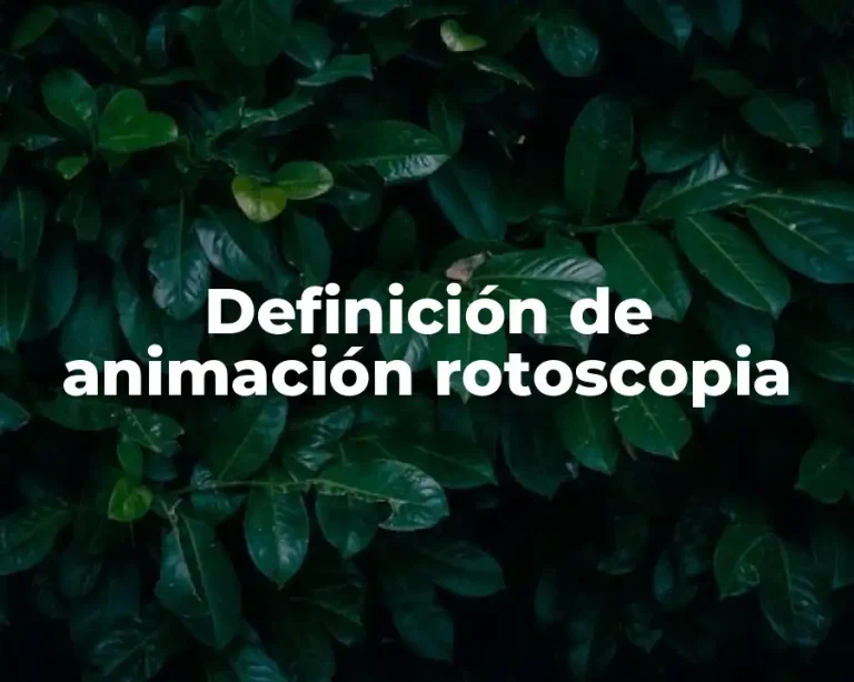 Definición de animación rotoscopia