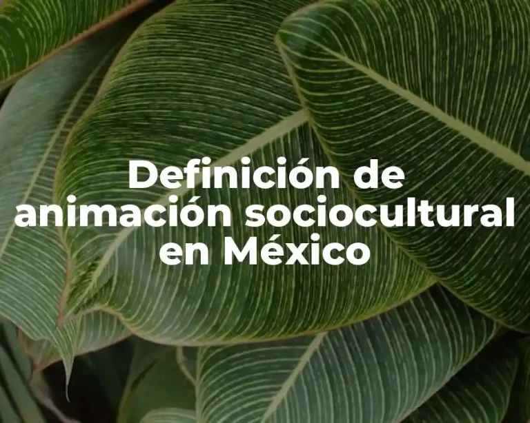 Definición de animación sociocultural en México
