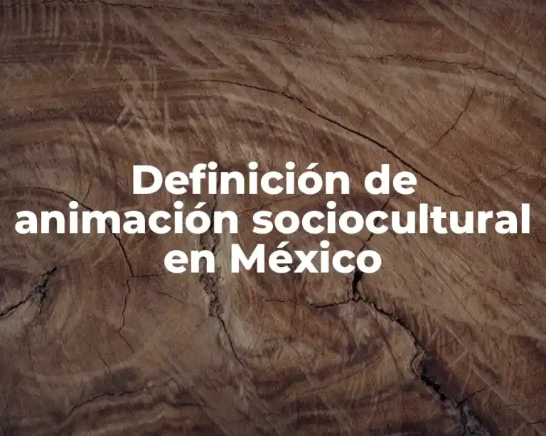 Definición de animación sociocultural en México