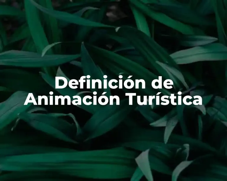 Definición de Animación Turística