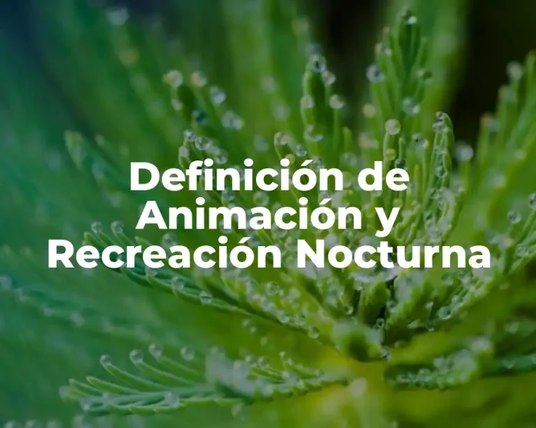 Definición de Animación y Recreación Nocturna