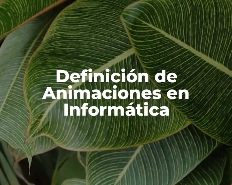 Definición de Animaciones en Informática