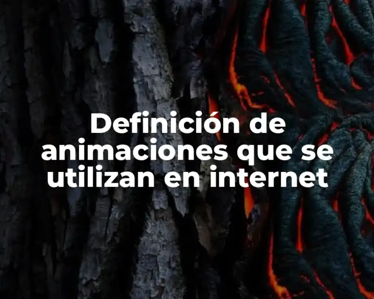Definición de animaciones que se utilizan en internet