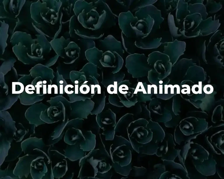 Definición de Animado