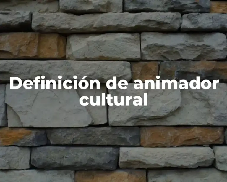Definición de animador cultural