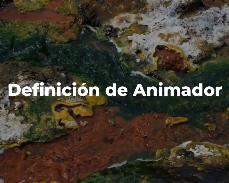 Definición de Animador