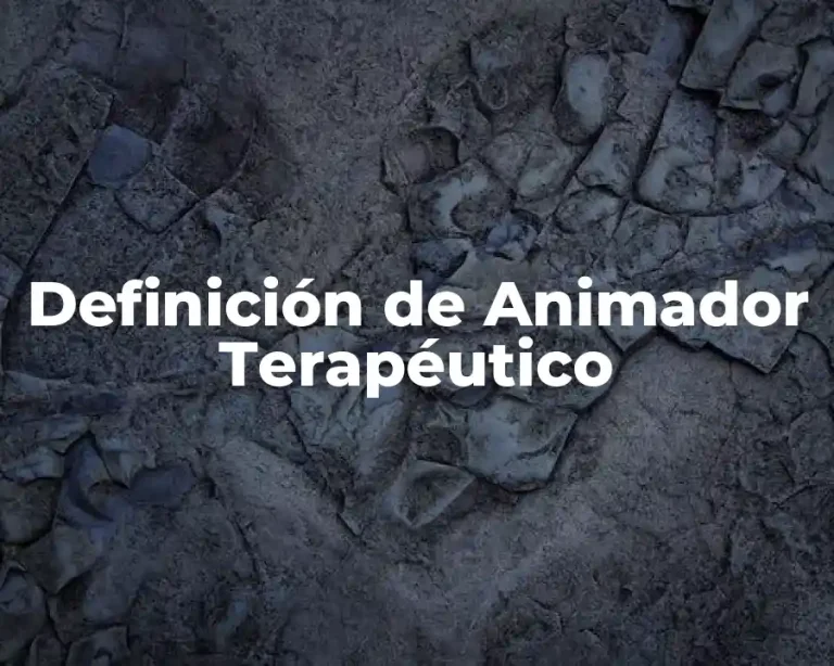 Definición de Animador Terapéutico