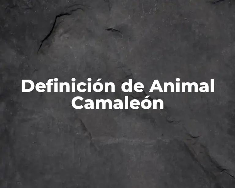 Definición de Animal Camaleón