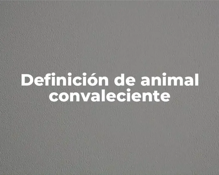 Definición de animal convaleciente
