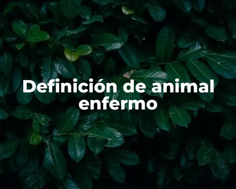 Definición de animal enfermo