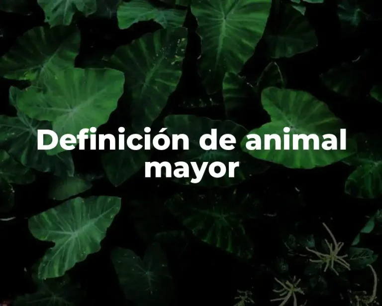 Definición de animal mayor