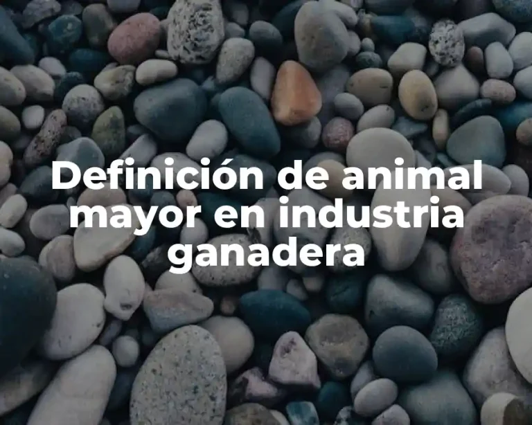 Definición de animal mayor en industria ganadera