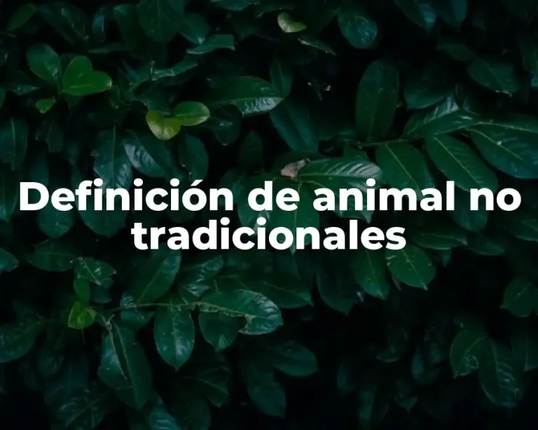 Definición de animal no tradicionales