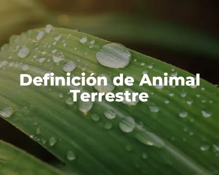 Definición de Animal Terrestre