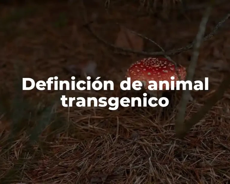 Definición de animal transgenico