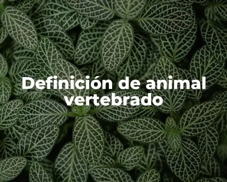 Definición de animal vertebrado
